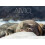 Aiviq: Life With Walruses 1