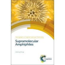 Supramolecular Amphiphiles