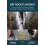 Bat Roosts in Rock 1