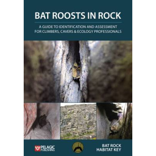 Bat Roosts in Rock