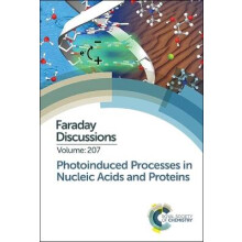 Photoinduced Processes in Nucleic Acids and Proteins