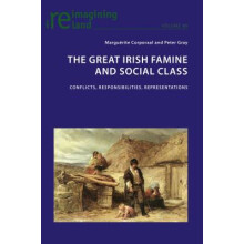 The Great Irish Famine and Social Class Conflicts, Responsibilities, Representations 89 Reimagining Ireland