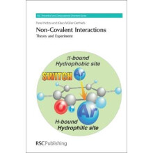 NonCovalent Interactions Theory and Experiment