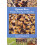 Queen Bee Biology, Rearing and Breeding 1