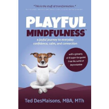 Playful Mindfulness a joyful journey to everyday confidence, calm, and connection
