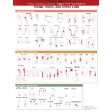 Travell, Simons & Simons' Trigger Point Pain Patterns Wall Chart