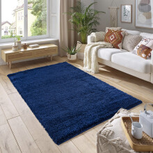(60cm x 110cm (2ft x 3ft 7")) Soft Thick Luxury Modern Shaggy Rug Ink