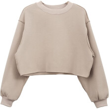 Women Cropped Sweatshirt Long Sleeves Pullover Fleece Crop Tops Kryp
