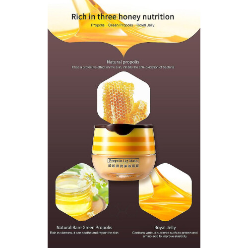 3pcs Bee Balm Lip Balm Honey Pot, Honey 1