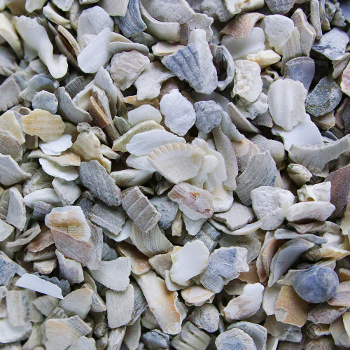 Gardeners Dream GardenersDream Hen Sized Oyster Shell (2.5kg) 2