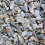 Gardeners Dream GardenersDream Hen Sized Oyster Shell (10kg) 3