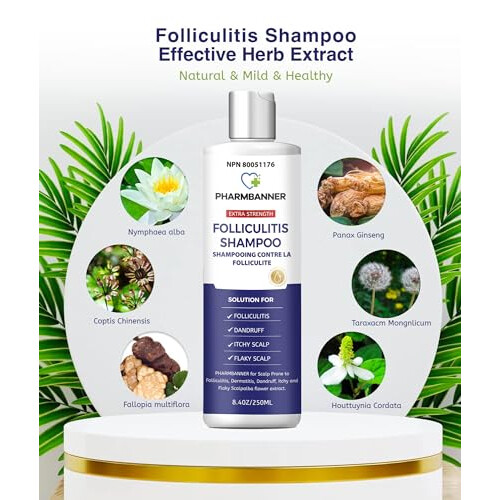 Folliculitis Shampoo Seborrheic Dermatitis Shampoo Anti Dandruff Shampoo Antifungal Shampoo Folliculitis Treatment on OnBuy
