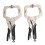 Amazon Metal Face Clamp, 11-Inch, 2-Pack, Black/Silver 1