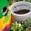 Miracle-Gro PEAT FREE Premium All Purpose Compost, 75 litre 5