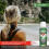 THREE PACKS of Jungle Formula Maximum Spray x 125ml 4