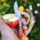 Opinel Lock Knife Carbon No.7 - Beech Wood Handle 10