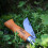 Opinel Lock Knife Carbon No.7 - Beech Wood Handle 9