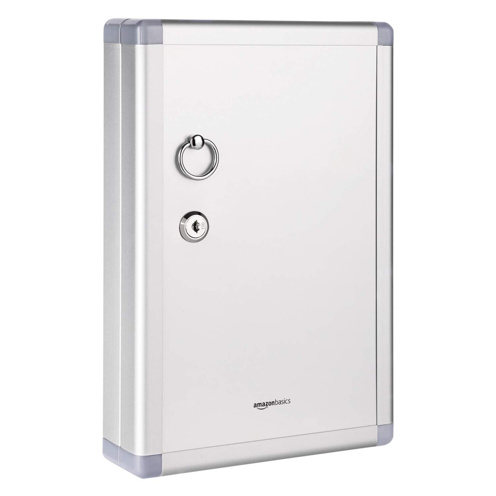 Amazon Basics 24-Key Position Cabinet Lock Box, Silver, Wall-Mount, 24 Hooks & Tags, 31.75 x 21.59 x 2.45 cm