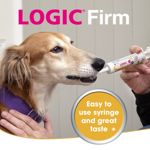 Firm Digestive Support for Large Dogs, Transparent, Large 1