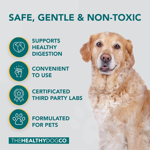 - Probiotic Powder for Dogs, Sprinkle On Food - Digestive Enzymes Dog ...