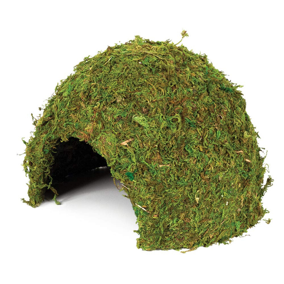 Large Natural Moss Cave for Reptiles - L