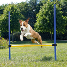 Pet Dogs Outdoor Games Agility Exercise Training Equipment Jump Hurdle bar Obedience Show Training for Dogs