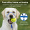 PetSafe Gentl Leader Collar 3