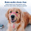 PetSafe Gentl Leader Collar 4