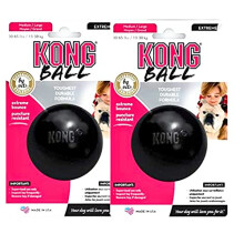 Extreme Ball Dog Toy - Medium/Large, Black x 2