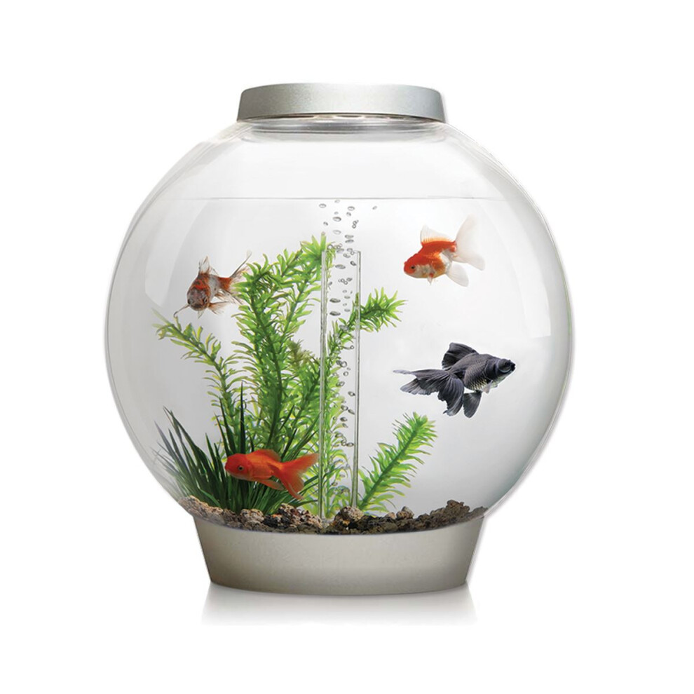 biOrb Classic 30L Aquarium in Silver with MCR LED Lighting and Heater Pack