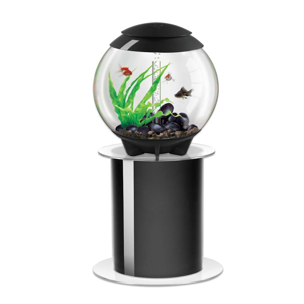 biOrb Halo 60L Aquarium in Grey with MCR LED Lighting with Stand