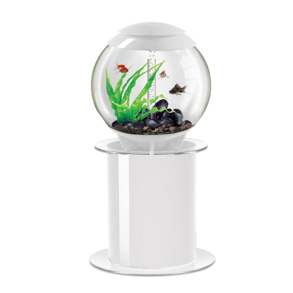 biOrb Halo 60L Aquarium in White with MCR LED Lighting with Stand