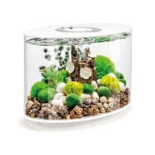 biOrb Loop 15L Fish Aquarium MCR Lighting LED White
