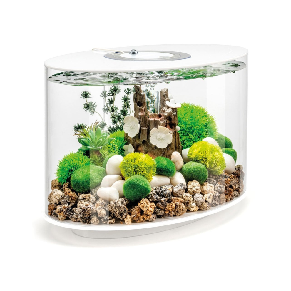 biOrb Loop 15L Fish Aquarium MCR Lighting LED White