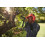 Ryobi Ryobi RY18PSX10A-0 18V Cordless 10cm Pruning Saw (Bare Tool) 4