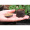 Starter coir pellets x100 1