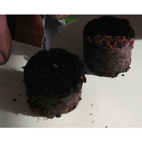 Starter coir pellets x100 2