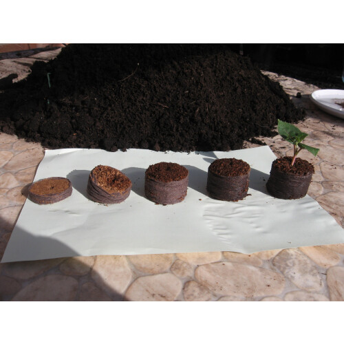 Starter coir pellets x100 1