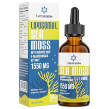 Liposomal Irish Sea Moss Drops 1550MG with Burdock Root & Bladderwrack, 4x Stronger Than Pills & Gel, Supports Gut & Immune Health