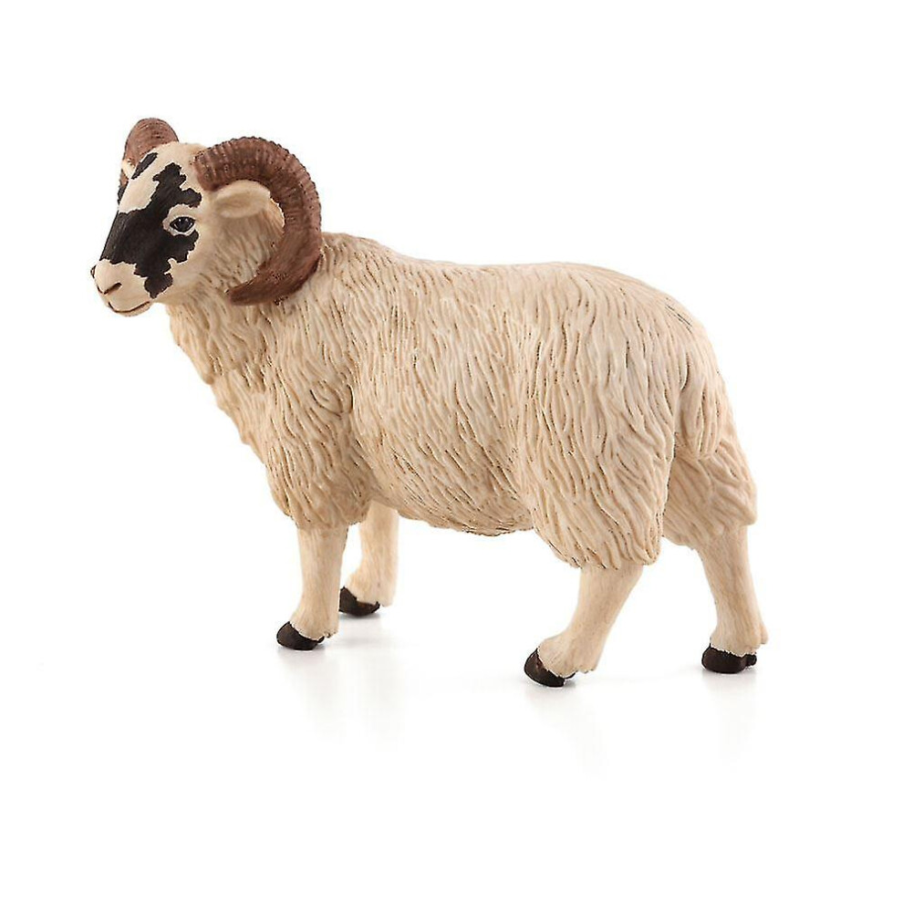 Farm Life Black Faced Sheep (ram) Toy Figure 3  Years White 387081-image-OPC-PDS5HK2-NEW