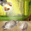 3 Pcs 50w Full-spectrum Solar Tanning Heating Bulb 2