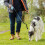 Bunty (Blue, 5m) Bunty Retractable Dog Lead, Tangle Free 4