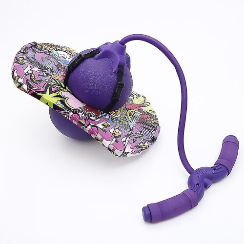 (Purple) Pogo Jumping Ball Balance Board With Handle Explosion Proof Exercise Bouncing Ball 2
