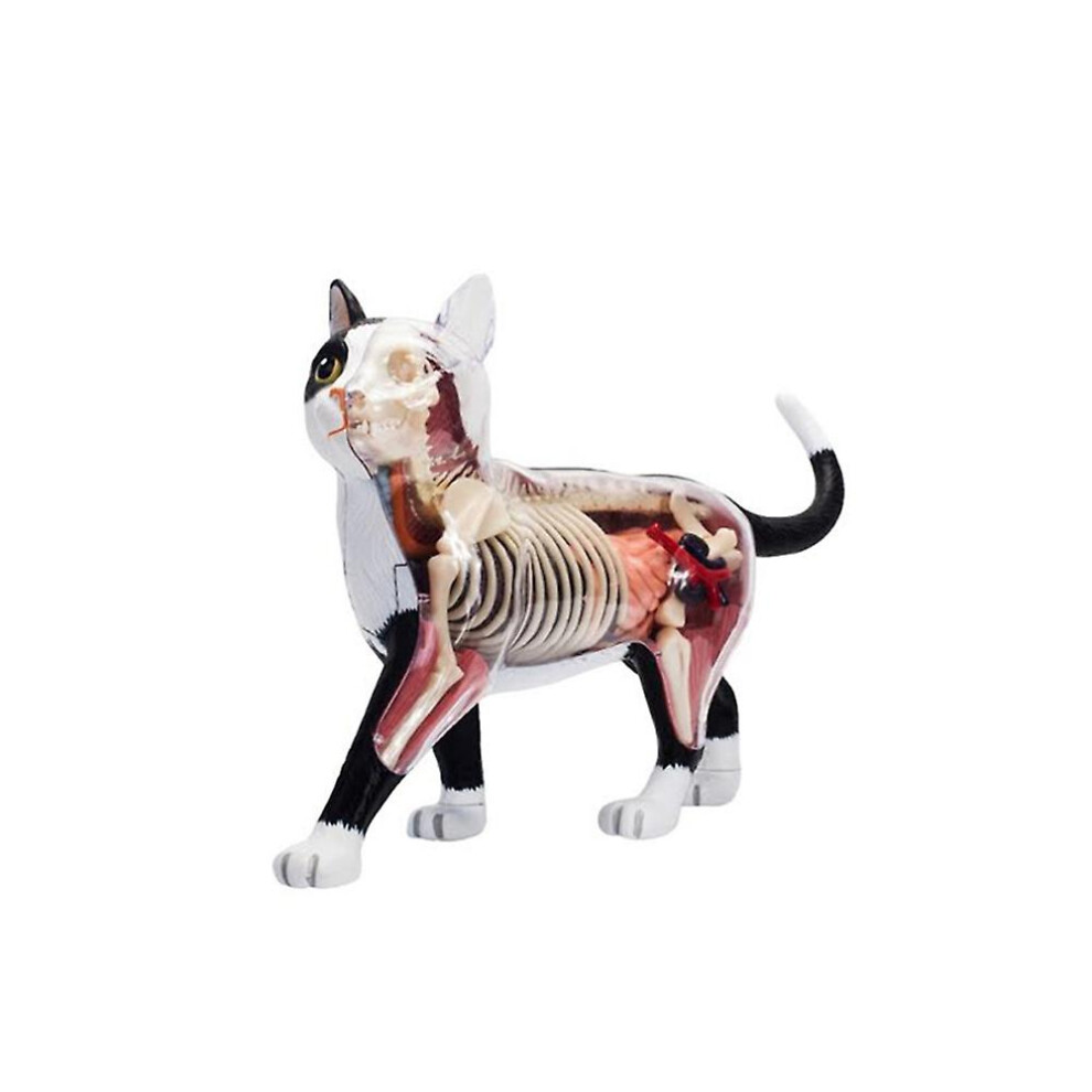 Animal Organ Anatomy Model 4D Cat Intelligence Assembling Toy Teaching Anatomy Model Diy Popular Sc Black/White