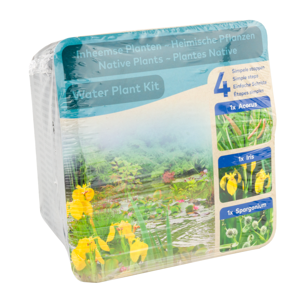 Moerings Waterplants Zone 3 Pond Plants Complete Aquatic Planting Kit – Native Plants (Iris, Acorus and Sparganium)