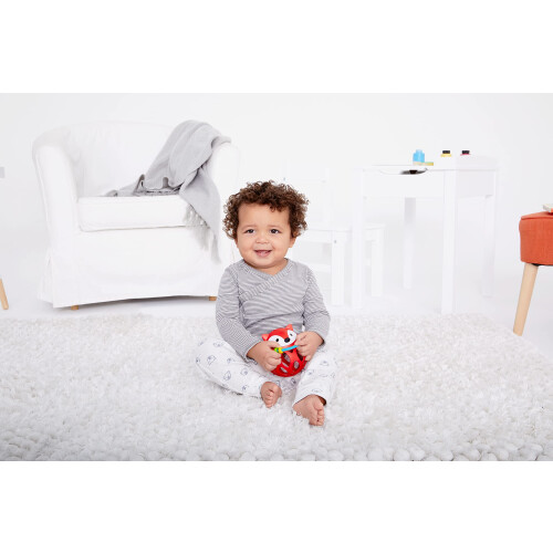 Skip Hop Explore and More Roll Around Fox Rattle 1