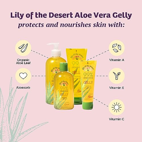 Aloe Vera Gelly Bottle, 12 Ounce 2