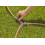 Gardena Conector rápido Gardena 18267-20 con válvula de control 2