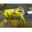 Pond Brush Telescoping Handle to 70 Inch. 3