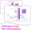Quantitative Ovulation Predictor Kit, 40 Ovulation Tests + 10 Pregnancy Tests, Premom Advanced Ovulation Test Strips 5